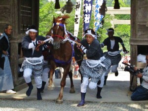 Ceremonial runners guide a galloping horse through the gates of a shrine during the Go-Ryoue festival on Dogo, in the Oki Islands.