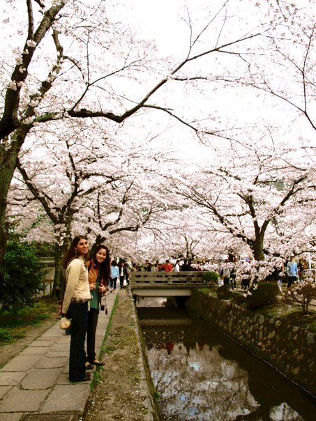 Exploring the Philosopher's Walk in Kyoto during Hanami